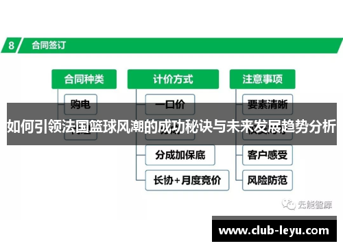 如何引领法国篮球风潮的成功秘诀与未来发展趋势分析