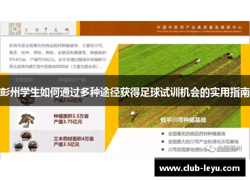 彭州学生如何通过多种途径获得足球试训机会的实用指南