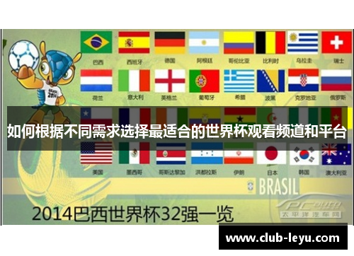 如何根据不同需求选择最适合的世界杯观看频道和平台