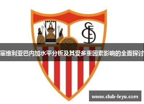 塞维利亚巴内加水平分析及其受多重因素影响的全面探讨